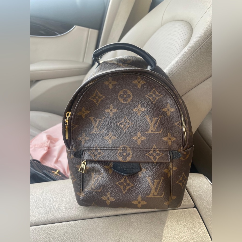 LOUIS VUITTON (LV) Monogram Palm Springs Backpack